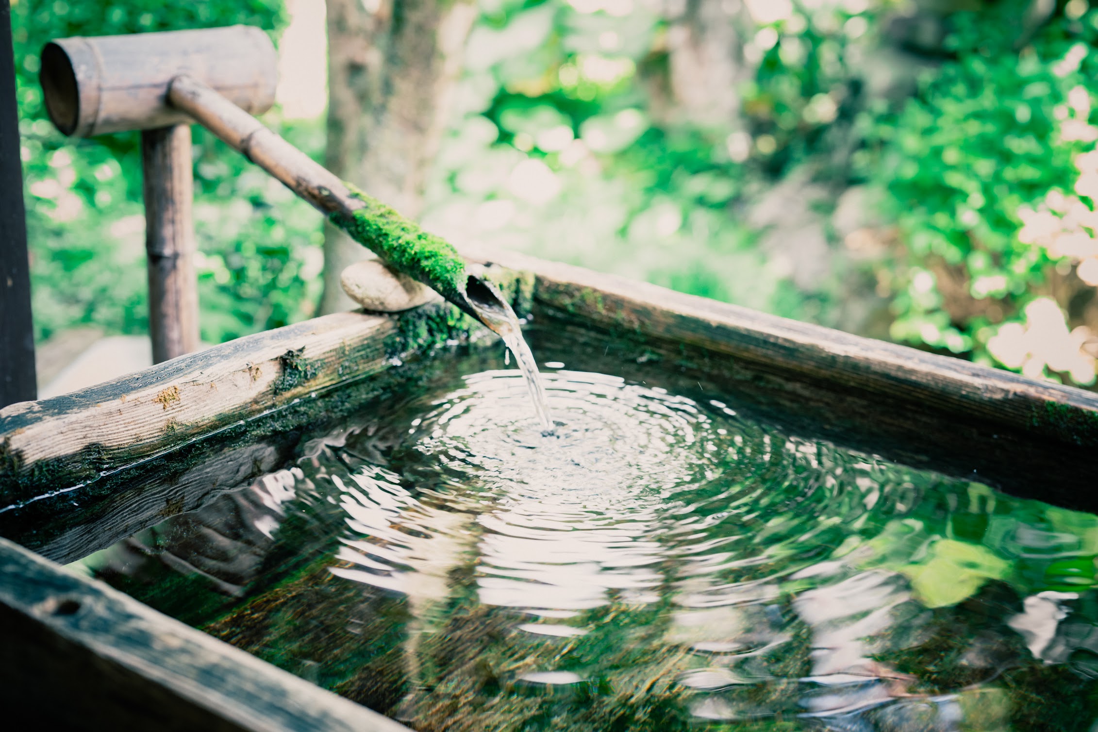 郡上八幡麦酒こぼこぼ